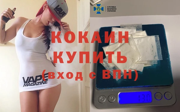 дживик Абаза