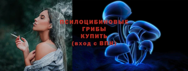 сатива Абинск