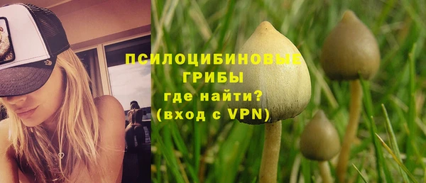 сатива Абинск