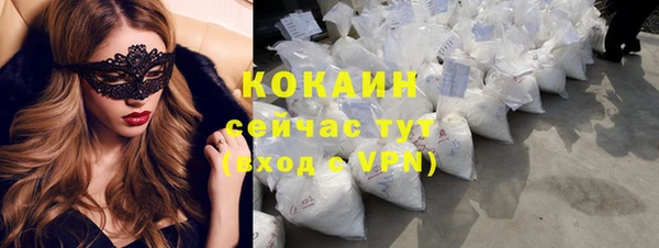 дживик Абаза