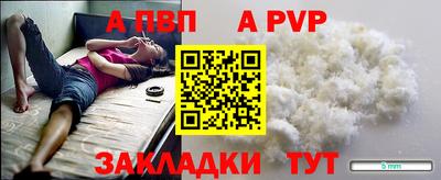 гидра Кингисепп
