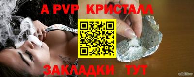 гидра Кингисепп
