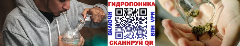 Каннабис SATIVA & INDICA  Котовск 